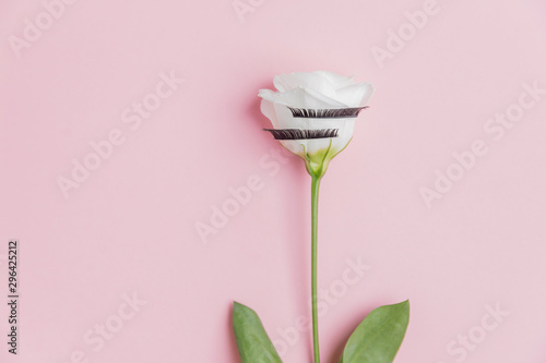 False eyelashes extensions on white flowers pink background  top view. Beauty concept