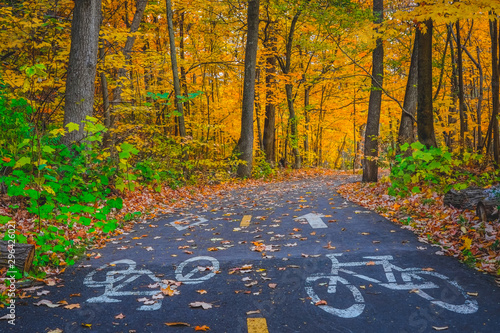 Autumn landscape of bicycle lane sign on asphalt road in the park