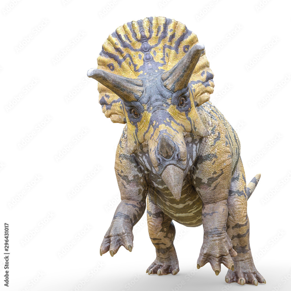 triceratops attacking on white background