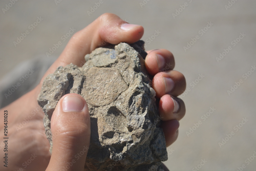 rock in the hand rock in the hand
