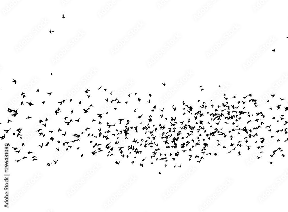 A flock of flying birds. Vector illustration A flock of flying birds. Vector illustration