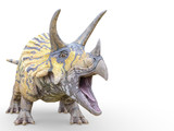 triceratops is calling on white background