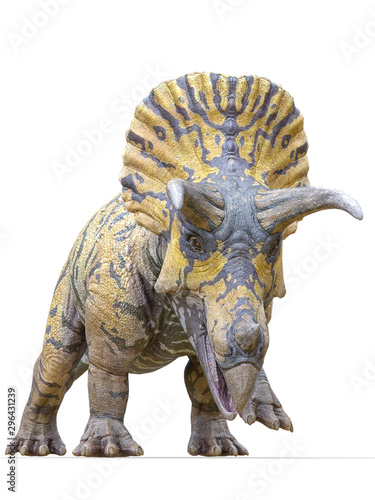 triceratops is coming on white background © DM7