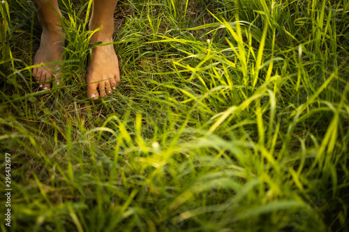 Barefoot young woman in green meadow  Harmony with nature - concept of vacation, summer leisure, naturism, relax © lightpoet