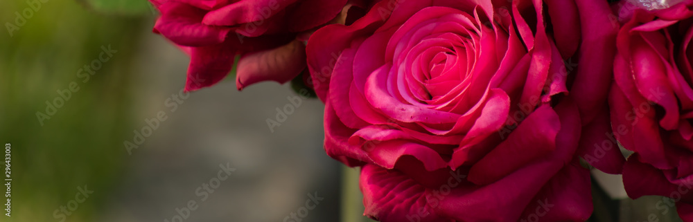 beautiful bouquet of bright flowers on a green background beautiful bouquet of bright flowers on a green background