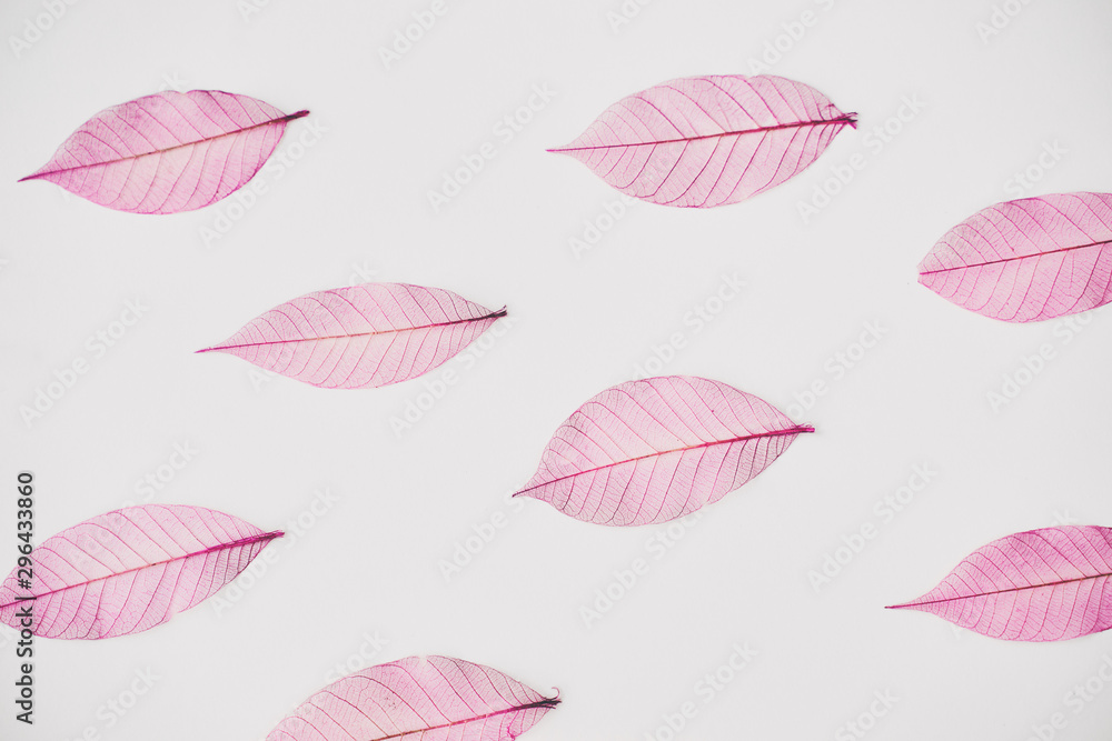 Naklejka premium Skeleton Leaves Composition on white background