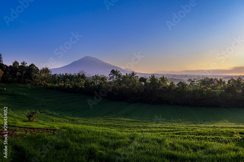 Morning Light In Beautiful Belimbing Rice field at Pupuan Tabanan Bali photo