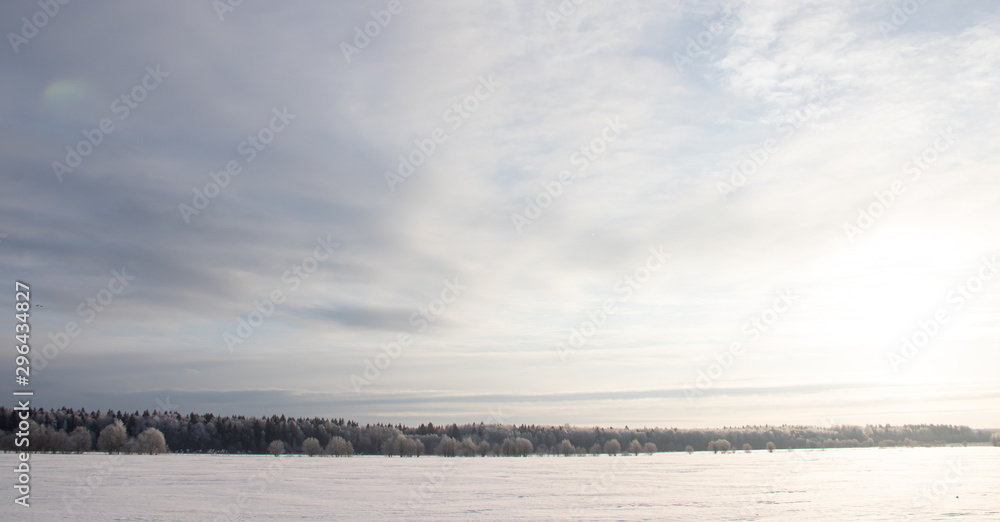 Obraz premium Snowy winter landscape in the field. Frozen white trees. Russian open spaces.