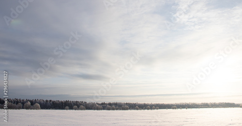 Snowy winter landscape in the field. Frozen white trees. Russian open spaces.