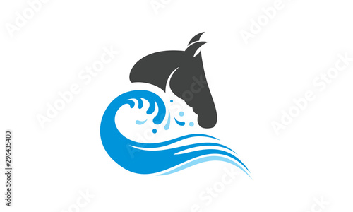 Horse and wave vector