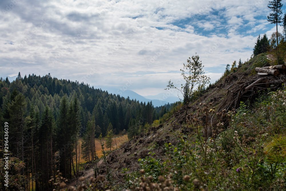 Obraz premium Altrei