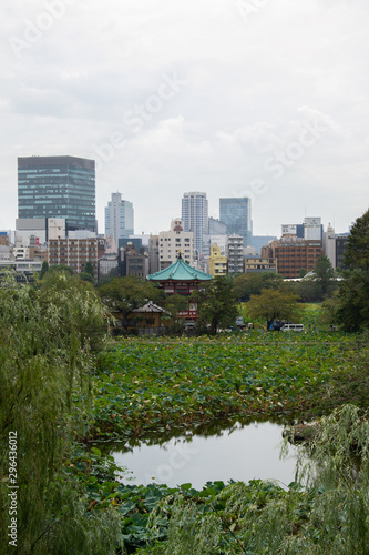 Temple between city and nature