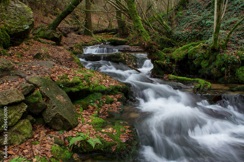 Small river. Galicia  Spain.