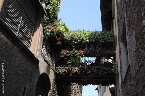 Italie - Bergame - Fleurs dans une ruelle photo