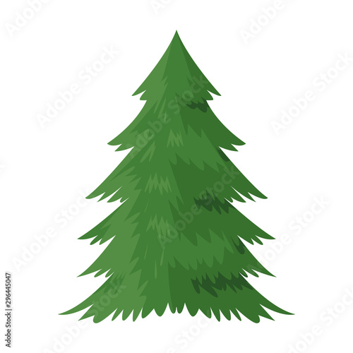 pine tree icon, flat design
