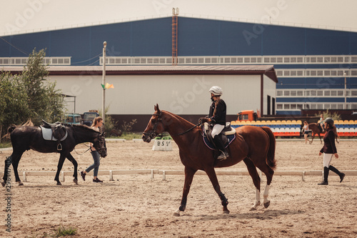 Equestrian competitions. Horseman riding a horse. Horseback Riding