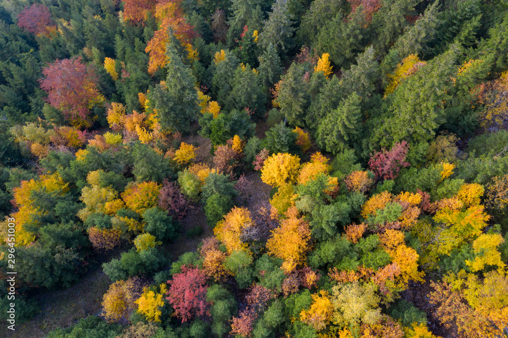 Aerial view over forest in autumn in austria Aerial view over forest in autumn in austria
