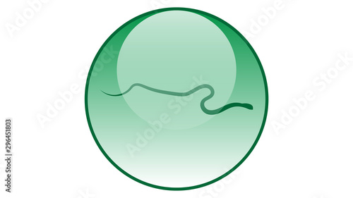 Snake icon vector design. Reptiles icons