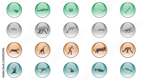 Set of animals icons vector design. Animals icon collection. Evolution illustration