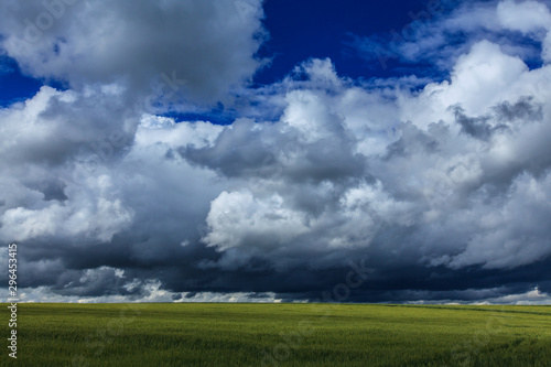 Scenic rural fields in summer, in a agricultural area in Romania, with green fields of wheat, poppy flowers, and storm clouds