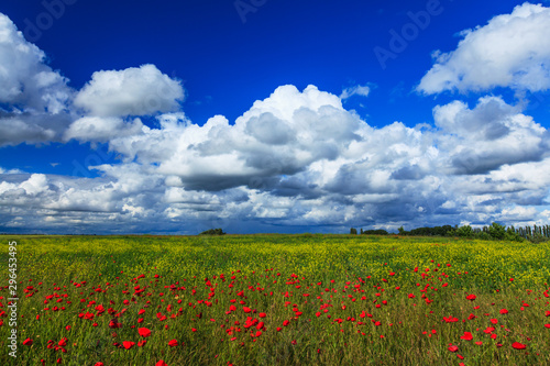 Beautiful summer fields and storm clouds in a remote rural area in Europe © Calin Tatu