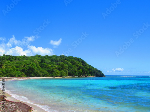 La mer turquoise avec une plage de sable blanc et une forêt sous un ciel sans nuage