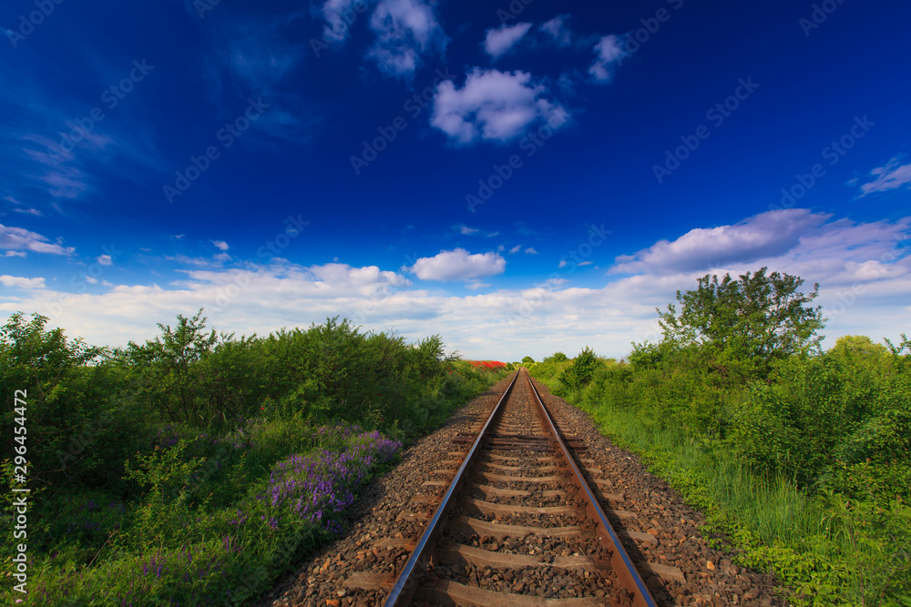 Fototapeta premium Beautiful pastoral scenery in early summer, with wild red poppy flowers along old railroad track