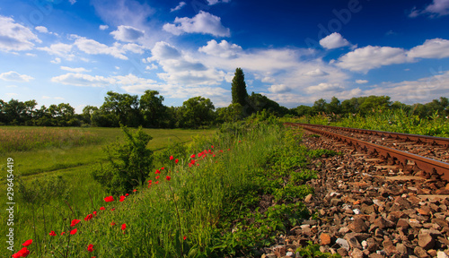 Beautiful pastoral scenery in early summer  with wild red poppy flowers along old railroad track