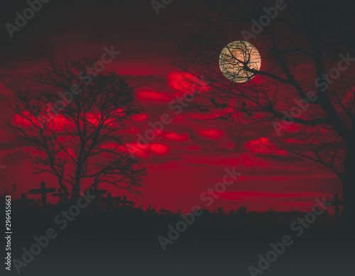 Halloween backdrop with the old grunge plank wood board and the silhouette trees with full moon and flying bats on the mystery orange blood dark cloud at night at the haunted graveyard in background.