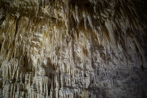 Ruakuri caves on New Zealands north island photo