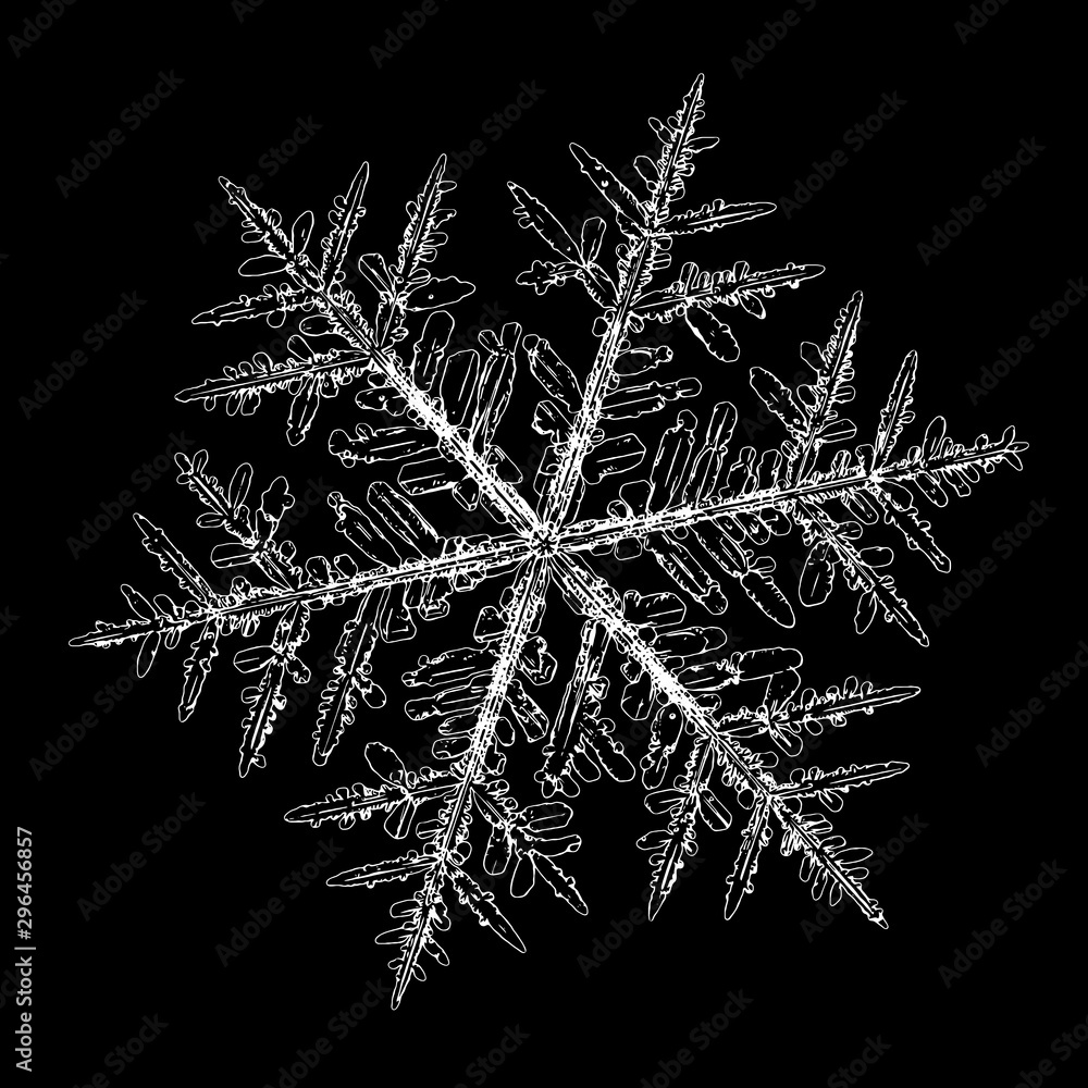 Snowflake isolated on black background. Illustration based on macro photo of real snow crystal: complex stellar dendrite with fine hexagonal symmetry, ornate shape and intricate details. Snowflake isolated on black background. Illustration based on macro photo of real snow crystal: complex stellar dendrite with fine hexagonal symmetry, ornate shape and intricate details.