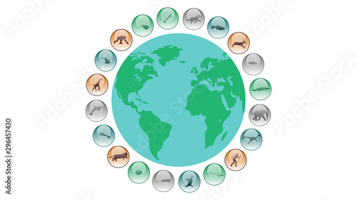 Diversity of life forms. Life evolution illustration vector design. Animals icons