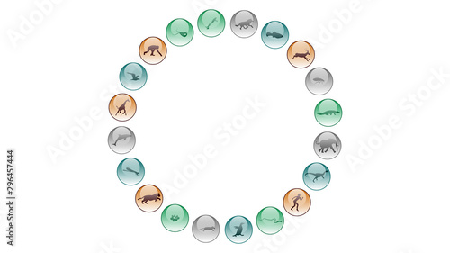 Diversity of life forms. Life evolution illustration vector design. Animals icons