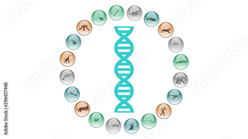 Evolution icon vector design. Evolution of species illustration