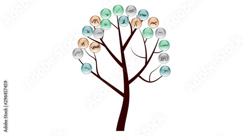 Diversity of life forms. Life evolution illustration vector design. Animals icons