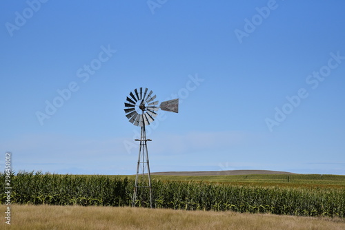 Windmill and Field
