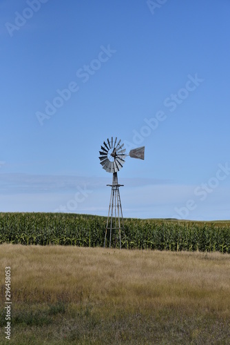 Windmill and Crop