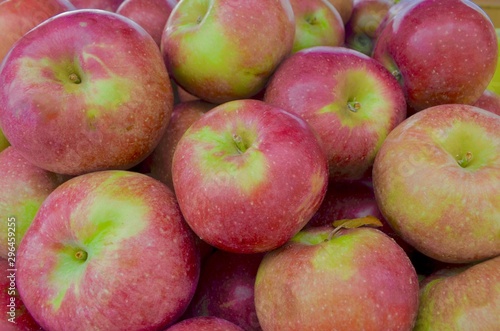 A display of red ripe  Macoun apples - a sweet crisp eating apple from the Hudson Valley of New York State. Closeup.. photo