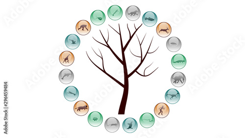 Diversity of life forms. Life evolution illustration vector design. Animals icons