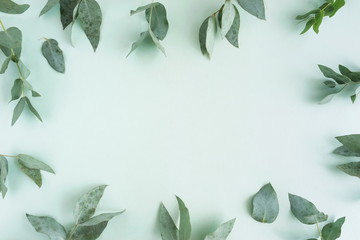 green eucalyptus leaves, branches frame on a pastel mint color background. flat lay, top view. copy space
