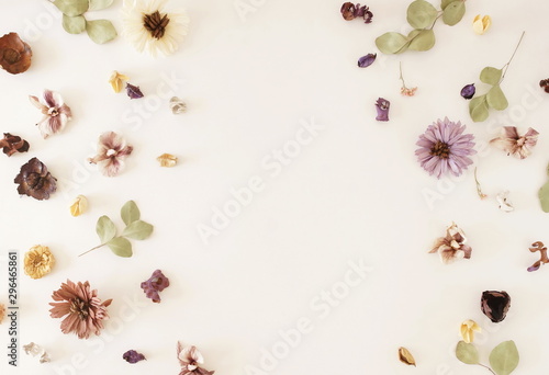 Flowers background. Composition from dried flowers and eucalyptus leaves pattern on white backdrop.Top view, flat lay. Copy space