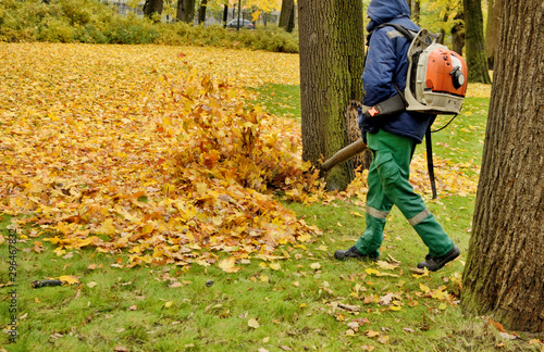 Worker cleaning company. Collects fallen leaves.