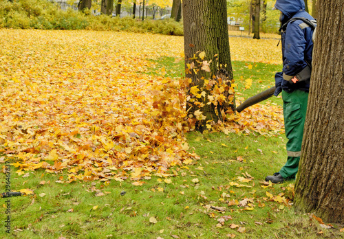 Worker cleaning company. Collects fallen leaves.