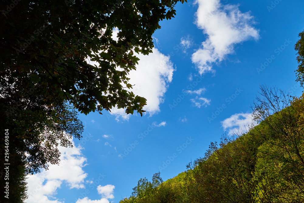 Beautiful sky with white clouds and top of trees. Background