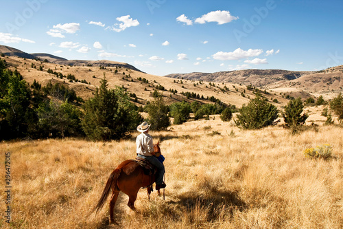 Cow-Boy et cheval western dans les collines de l'ouest américain