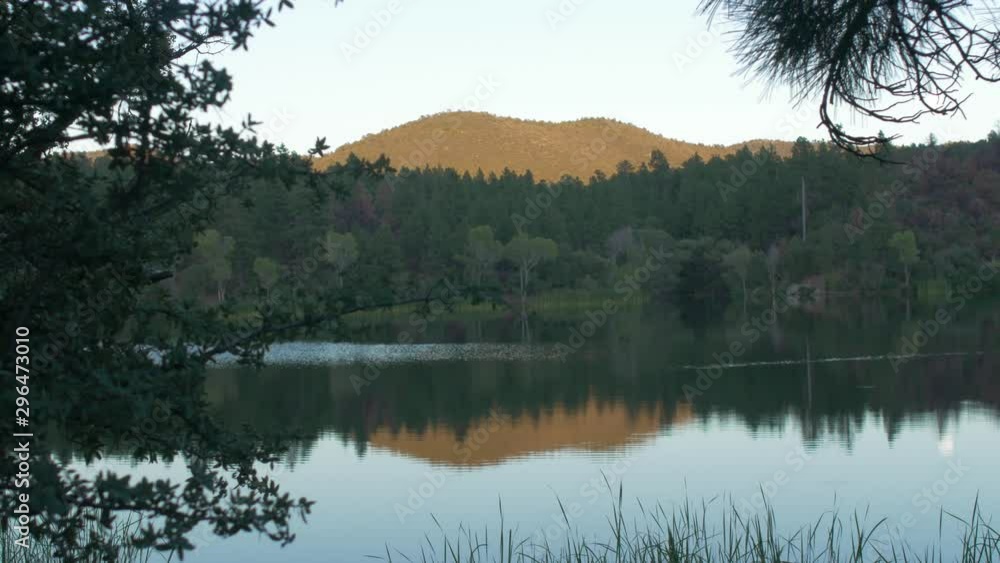 Beautiful Scenic River Landscape with Green Forest and Distant Orange Mountain Overhanging Trees Beautiful Scenic River Landscape with Green Forest and Distant Orange Mountain Overhanging Trees
