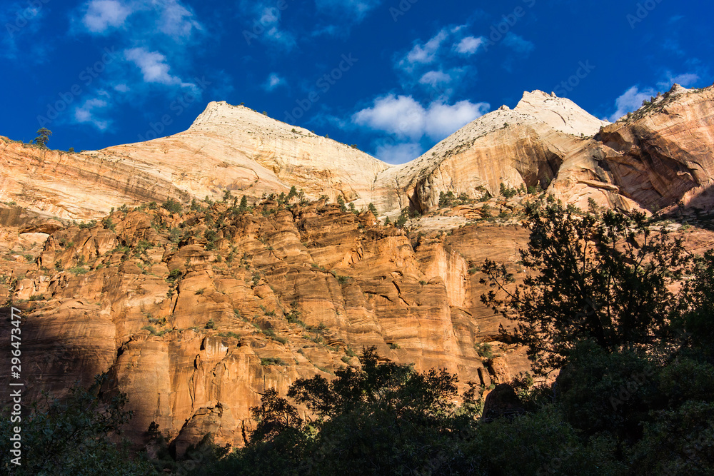 Low Angle on Orange Cliffs in Zion - 1