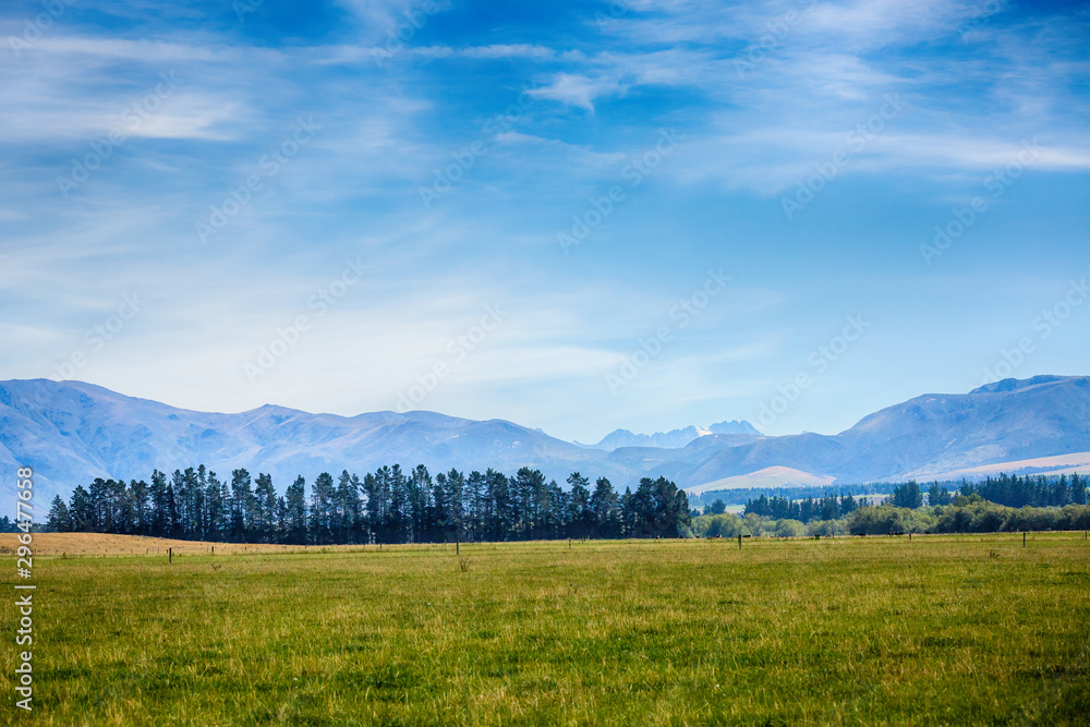 Beautiful Countryside at Farm Agriculture in South Island New Zealand - obrazy, fototapety, plakaty 