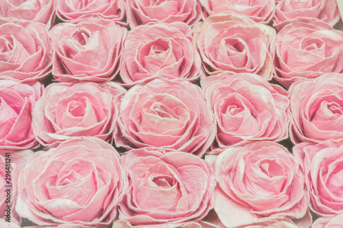 Pink roses background, shallow depth of field. Retro vintage instagram filter for background and text.