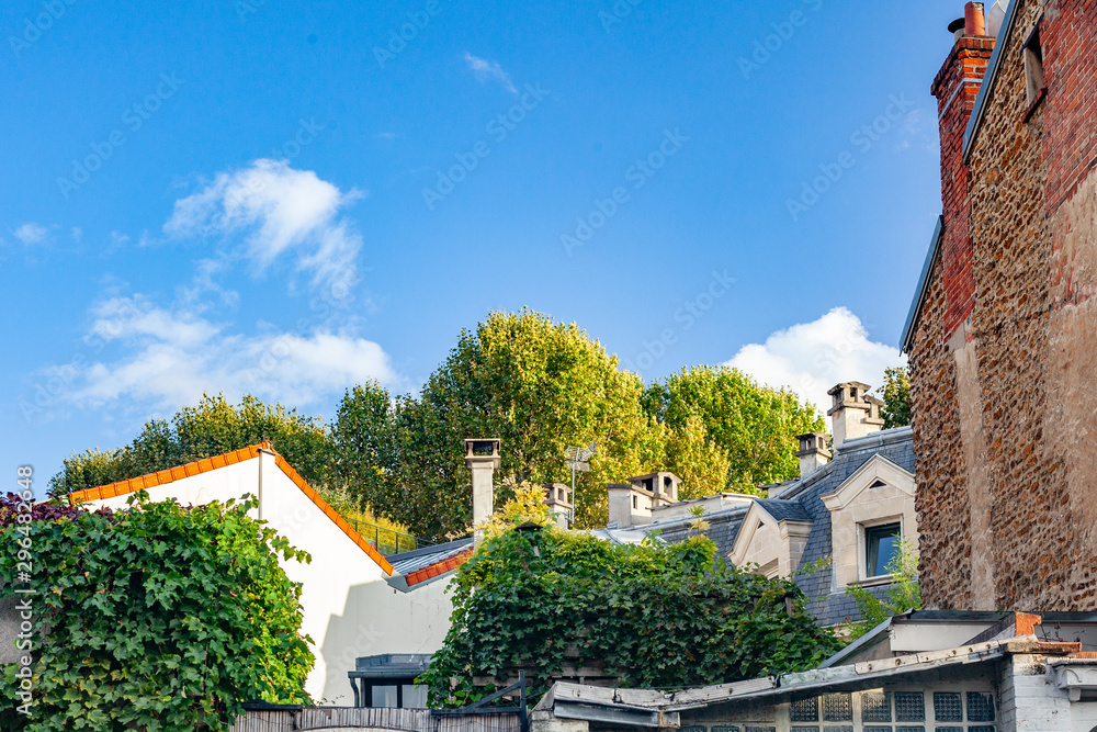 Roofs of houses in Paris